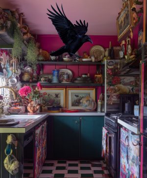 Raven Caught in Maximalist Kitchen
