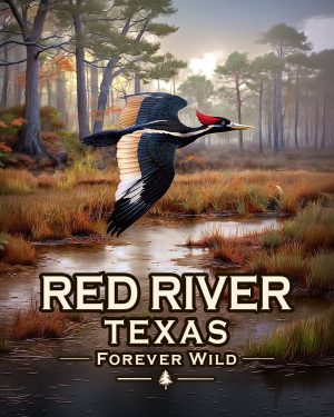 Red River, Texas  - Forever Wild Ivory Billed Woodpecker