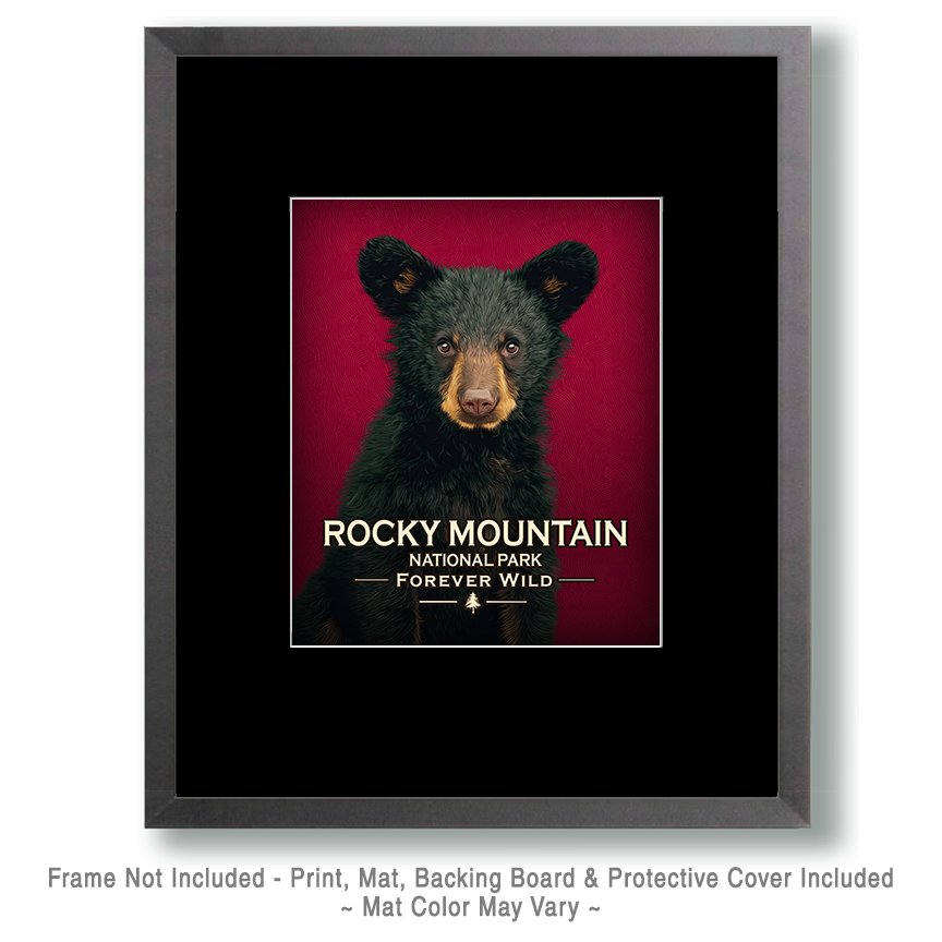 Rocky Mountain National Park - Forever Wild - Hip Black Bear Cub - Image 2