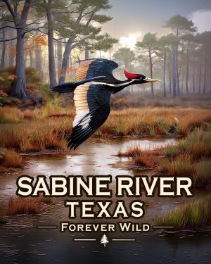 Sabine River, Texas  - Forever Wild Ivory Billed Woodpecker