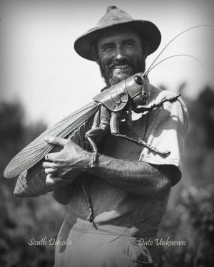 South Dakota - Holding Giant Grasshopper - Vintage Style Agriculture Cryptid Photo