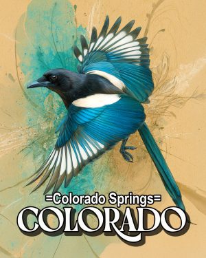 Stylized Magpie - Colorado Springs Souvenir Art Print