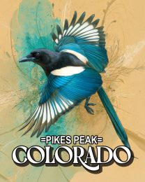 Stylized Magpie -  Pikes Peak Souvenir Art Print