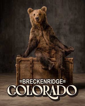 Traveling Bear - Breckenridge, Colorado Souvenir Art Print