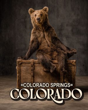 Traveling Bear - Colorado Springs Souvenir Art Print