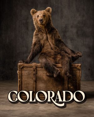 Vintage Fall Day - Colorado Souvenir Art Print