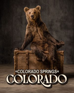 Traveling Bear - Colorado Springs Souvenir Art Print