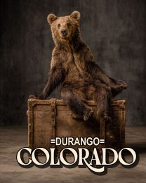 Traveling Bear -  Durango Souvenir Art Print