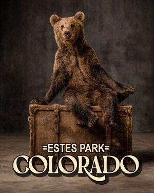 Traveling Bear -  Estes Park Souvenir Art Print