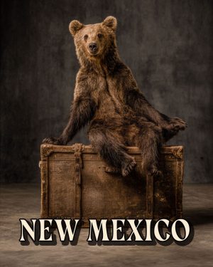 Traveling Bear -  New Mexico Souvenir Art Print