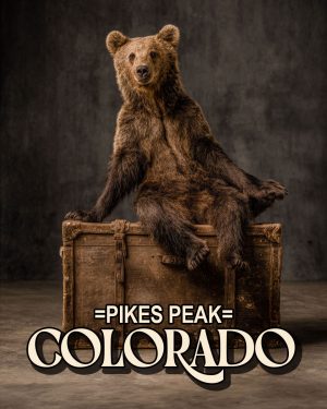 Traveling Bear -  Pikes Peak Souvenir Art Print