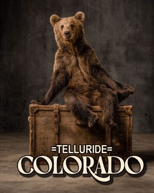 Traveling Bear -  Telluride Souvenir Art Print