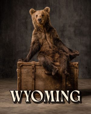 Traveling Bear -  Wyoming Souvenir Art Print