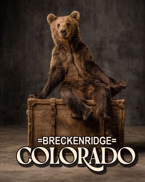 Traveling Bear - Breckenridge, Colorado Souvenir Art Print