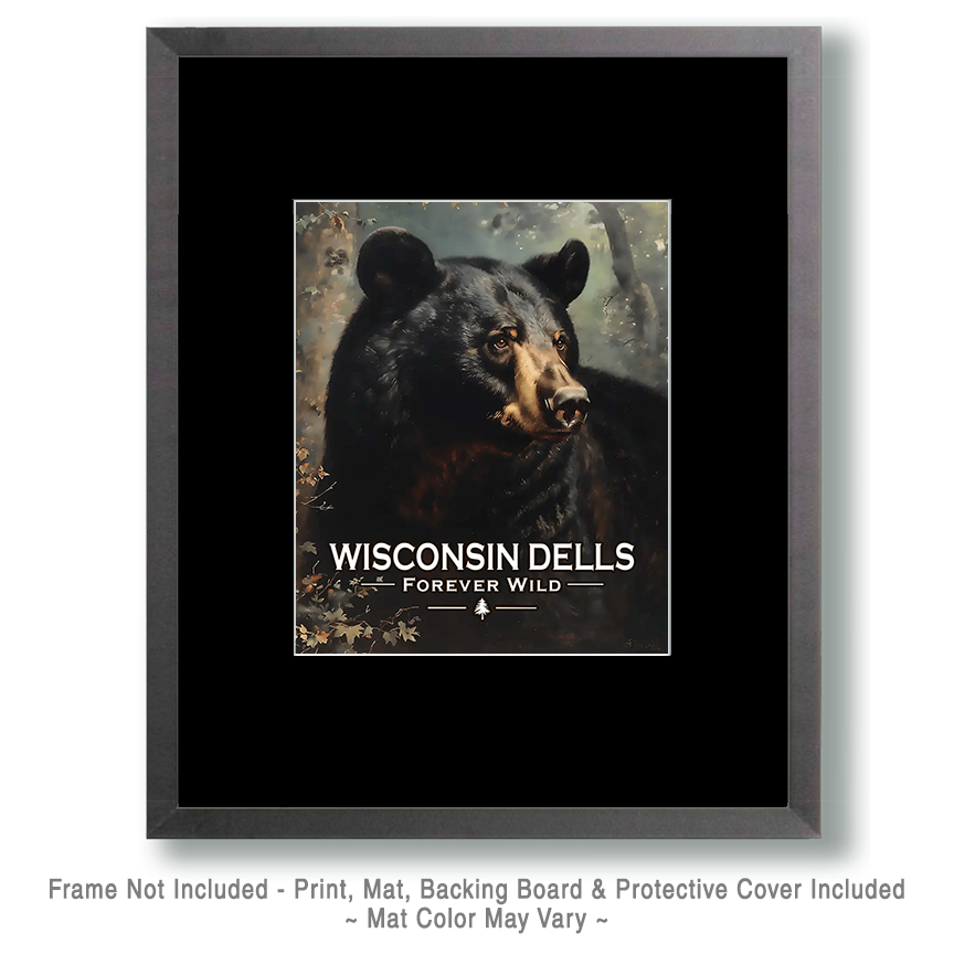 Wisconsin Dells - Forever Wild - Black Bear - Image 2