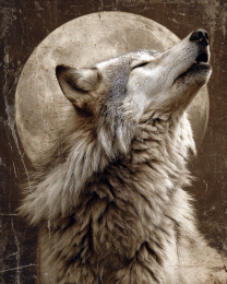 Antique Style Wolf Howling Art Print