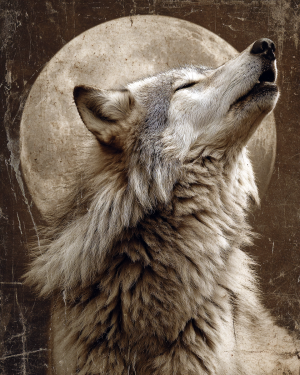 Antique Style Wolf Howling Art Print