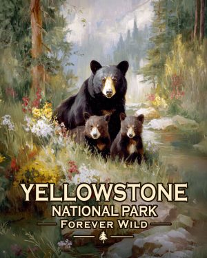Yellowstone National Park  - Forever Wild - Black Bear Mother and Cubs