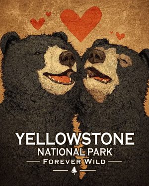 Yellowstone National Park  - Forever Wild - Black Bears in Love