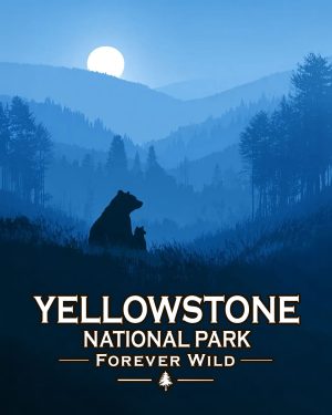 Yellowstone National Park  - Forever Wild - Mother Bear and Cub Enjoy the Evening
