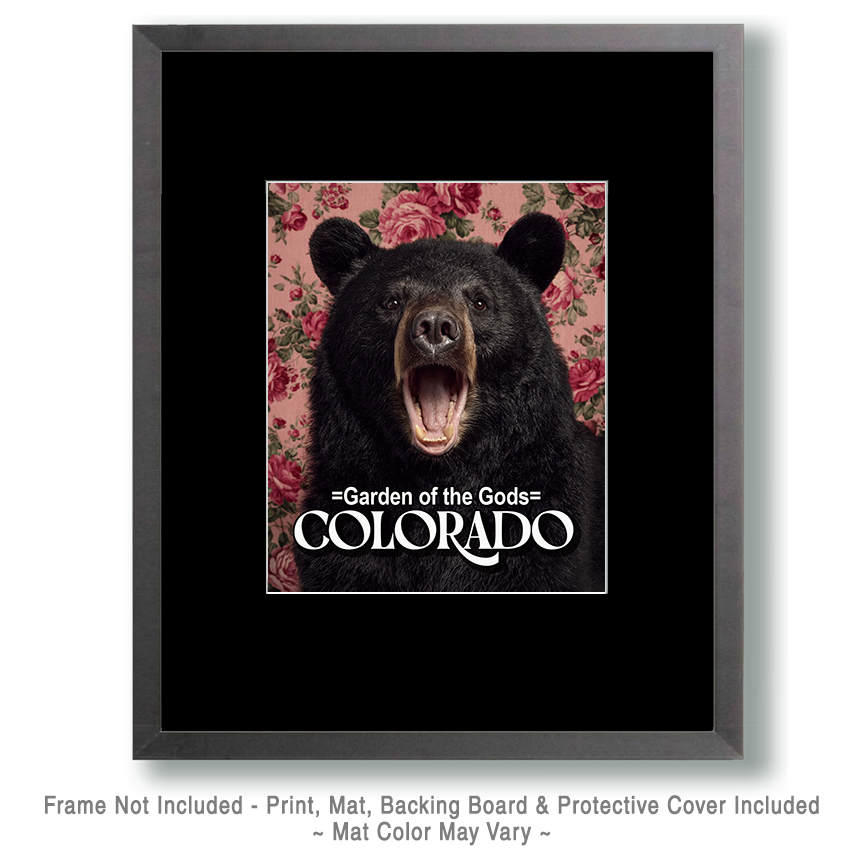 Bear with a viewpoint - Garden of the Gods Souvenir Art Print - Image 2