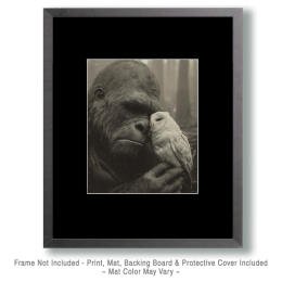 With Pet Owl - Vintage Bigfoot Art