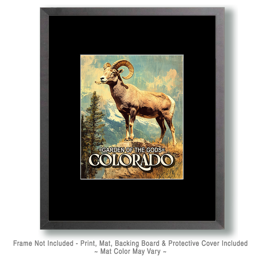 Bighorn Sheep Ram - Garden of the Gods Souvenir Art Print - Image 2