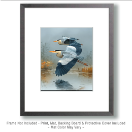 Coming in for the Landing Great Blue Heron Art