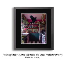 Raven Caught in Maximalist Kitchen