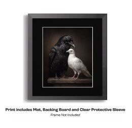 Raven Watching Over Dove