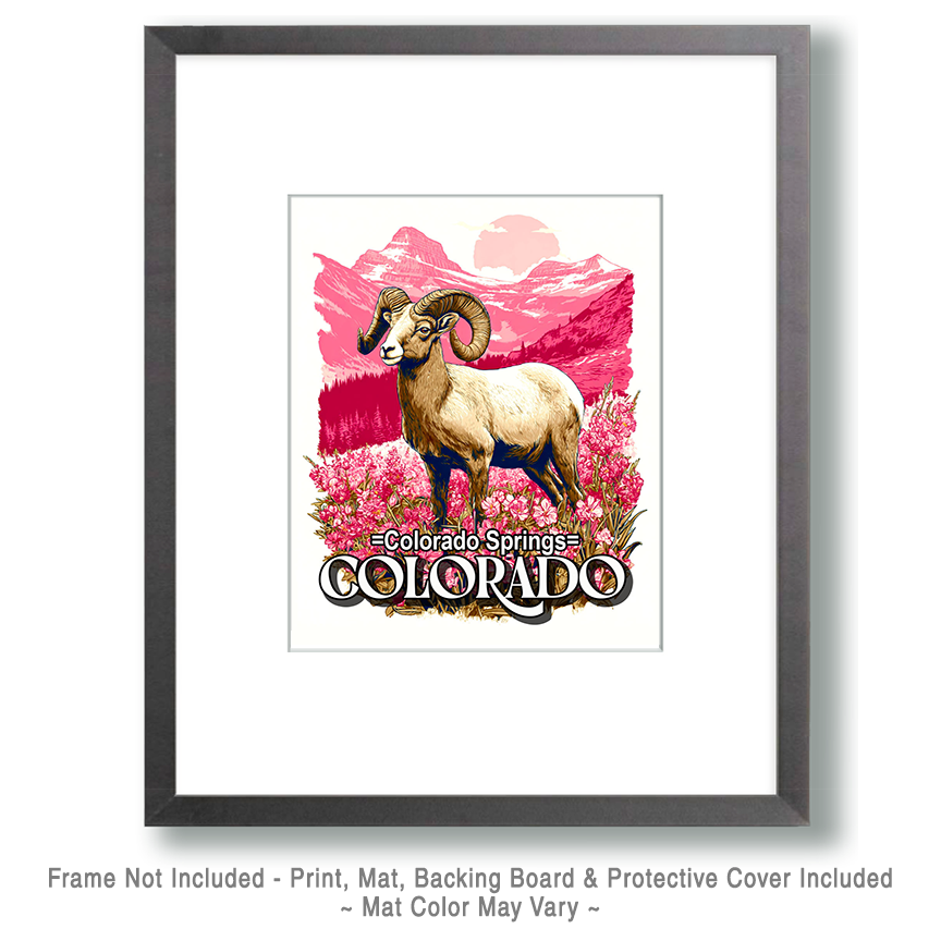 Graphic Bighorn Sheep Ram - Colorado Springs Souvenir Art Print - Image 2