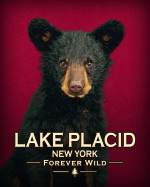 Lake Placid New York - Forever Wild - Hip Black Bear Cub