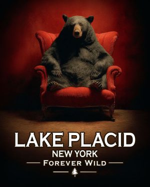 Lake Placid New York - Forever Wild - Lazy Bear in Chair