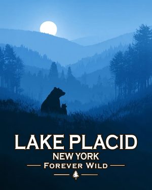 Lake Placid New York - Forever Wild - Mother Bear and Cub Enjoy the Evening