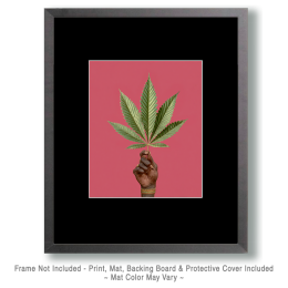 He Holds a Marijuana Leaf - Weed Wall Art Print