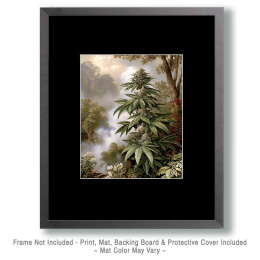 Wild Marijuana Plant - Weed Wall Art Print