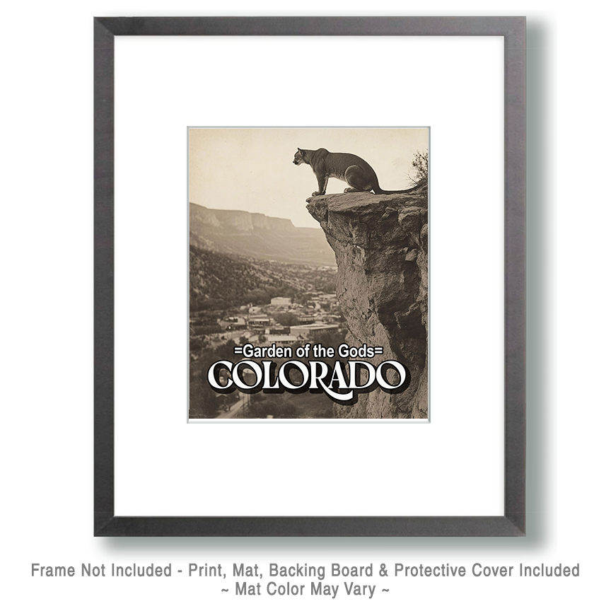 Mountain Lion Observing the Town - Garden of the Gods Souvenir Art Print - Image 2