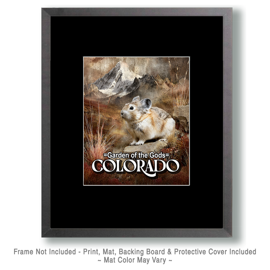 Naturalist Style Pika - Garden of the Gods Souvenir Art Print - Image 2