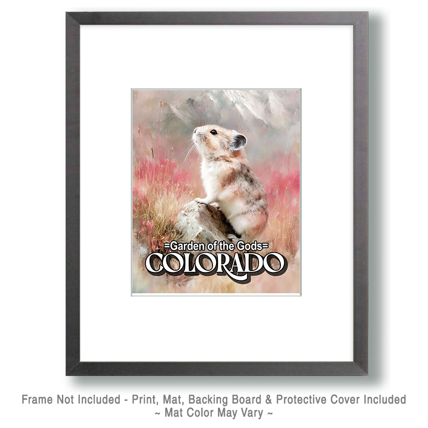 Pink Pika - Garden of the Gods Souvenir Art Print - Image 2