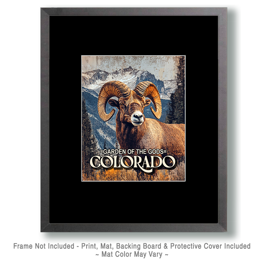 Vintage Bighorn Sheep Ram - Garden of the Gods Souvenir Art Print - Image 2