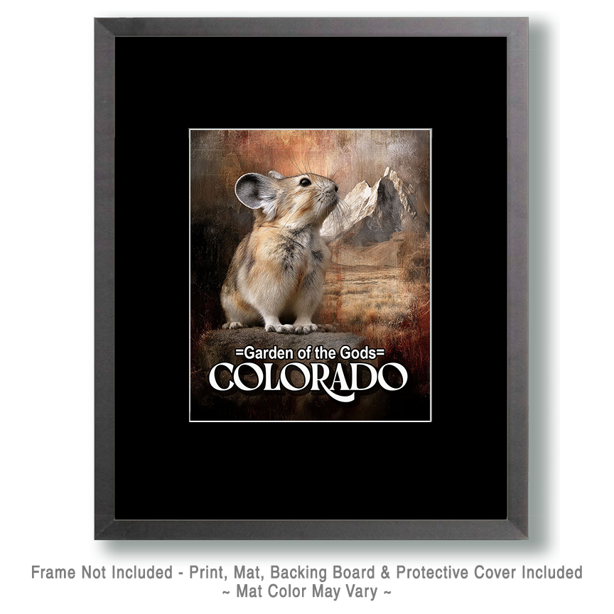 Vintage Pika - Garden of the Gods Souvenir Art Print - Image 2