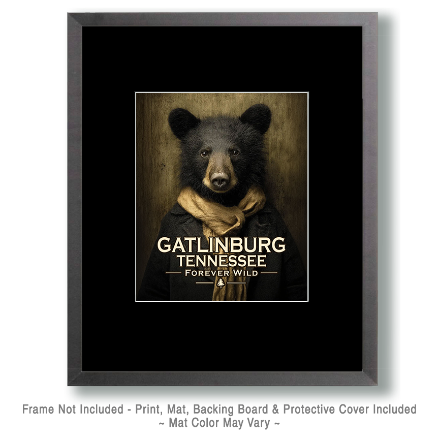 Gatlinburg Tennessee - Forever Wild - Portrait of Black Bear Youth - Image 2