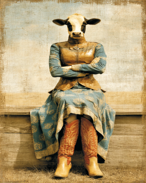 Debby from Debuque - Cow Art Print