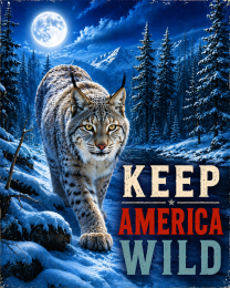 Lynx - Keep America Wild Art Print - Americana Nature Artwork