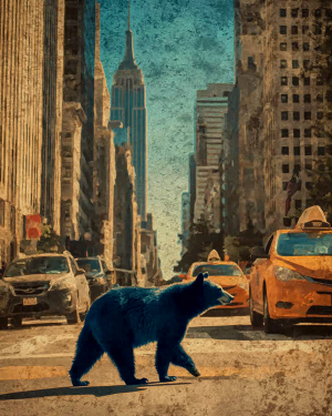 Wild Day in New York City - Black Bear Art Print
