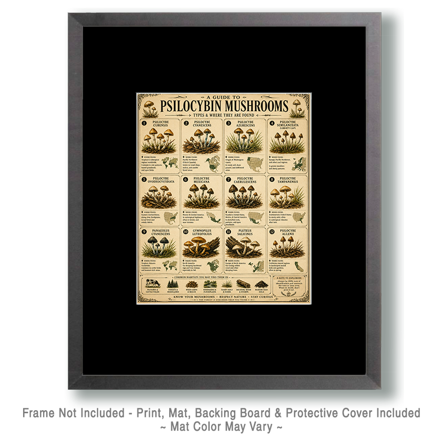 Guide to Psilocybin Mushrooms Poster - Image 2
