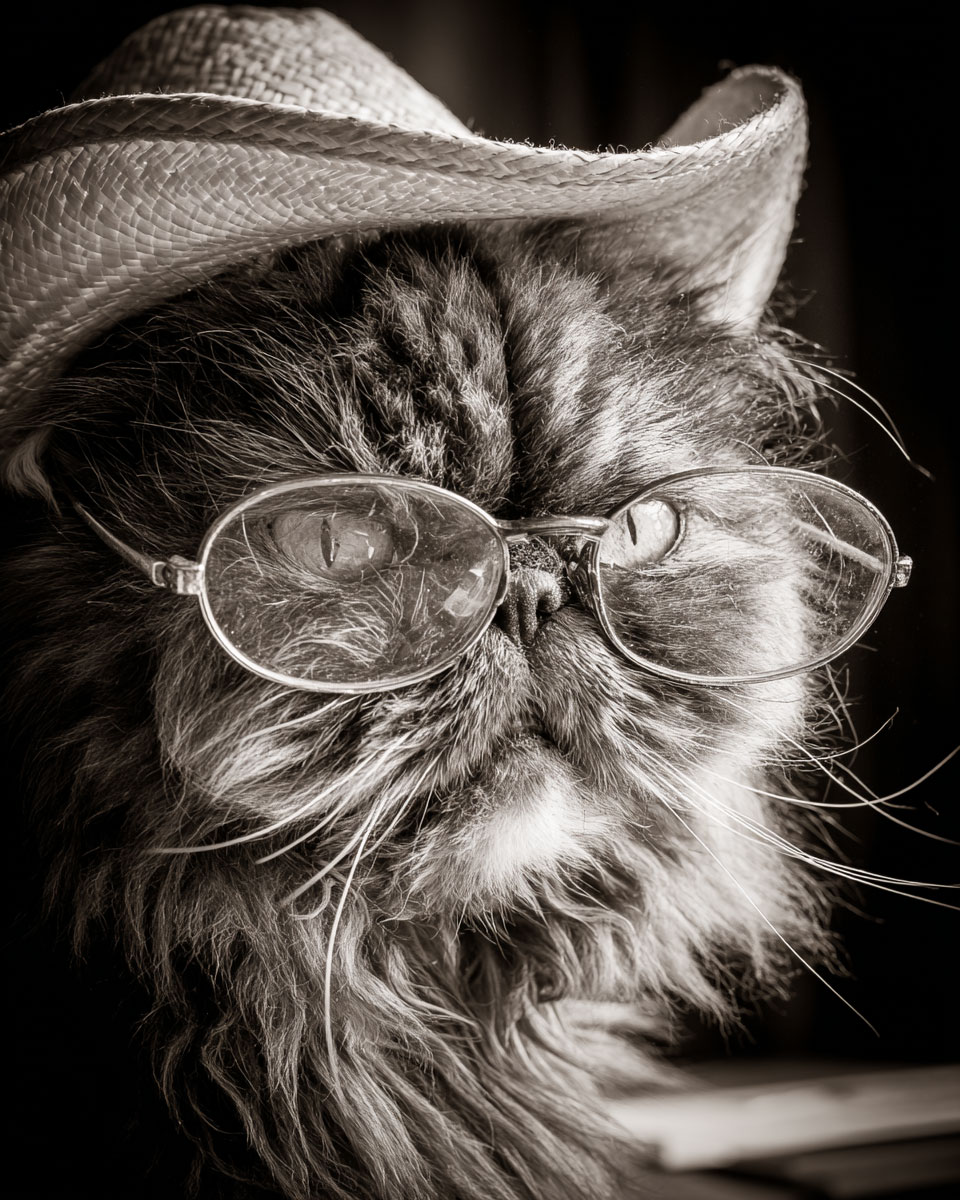 Studious Stewart the Cowboy Cat - Matted Art Print for Mid Century Modern Western Living Room Decor