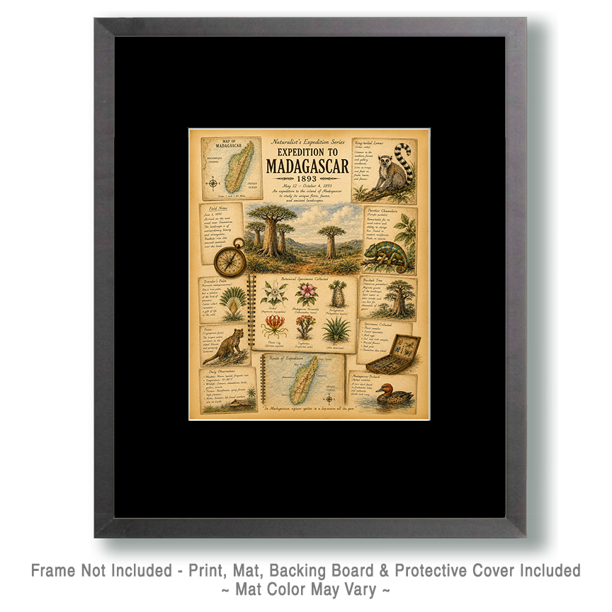Expedition to Madagascar Matted Art Print - Vintage Expedition Art - Image 2