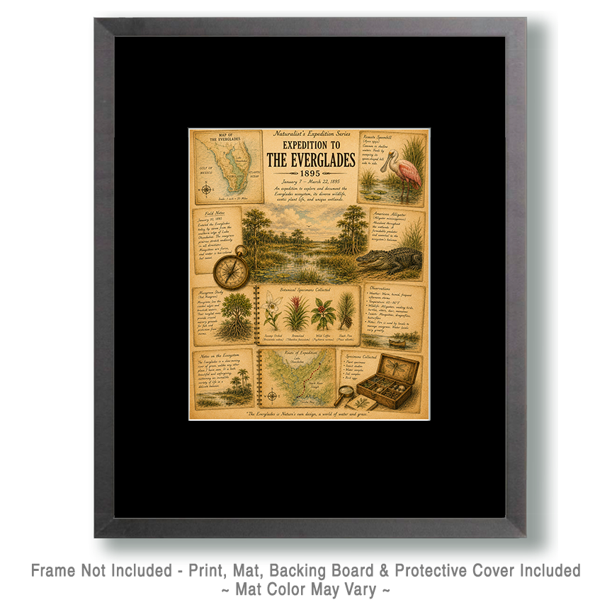 Expedition to the Everglades Matted Art Print - Vintage Naturalist Art - Image 2